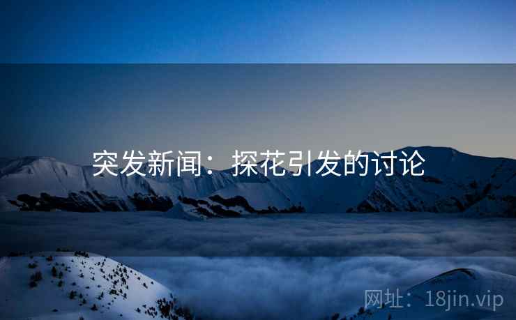 突发新闻:探花引发的讨论 突发新闻:探花引发的讨论