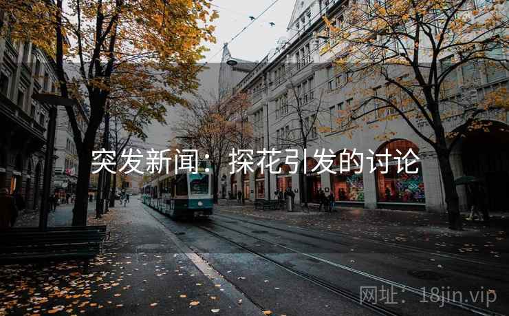 突发新闻:探花引发的讨论 突发新闻:探花引发的讨论