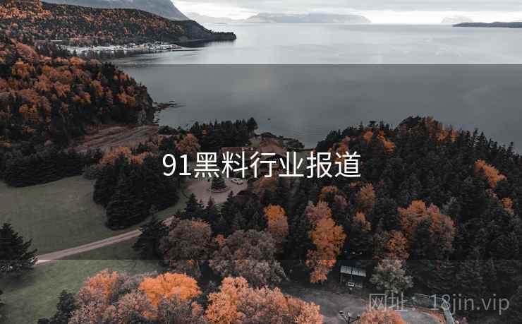 91黑料行业报道 91黑料行业报道