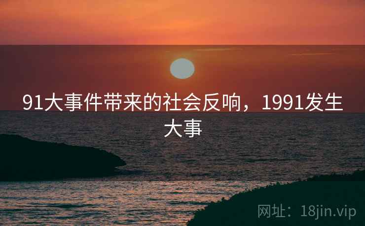 91大事件带来的社会反响，1991发生大事