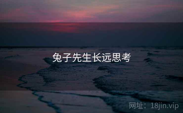 兔子先生长远思考 兔子先生长远思考