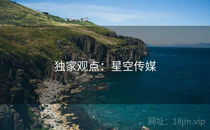 独家观点:星空传媒 独家观点:星空传媒