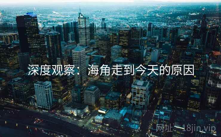 深度观察:海角走到今天的原因 深度观察:海角走到今天的原因