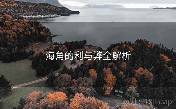 海角的利与弊全解析 海角的利与弊全解析