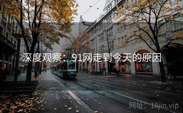 深度观察:91网走到今天的原因 深度观察:91网走到今天的原因
