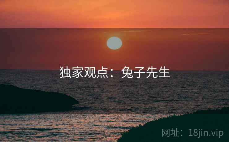 独家观点:兔子先生 独家观点:兔子先生