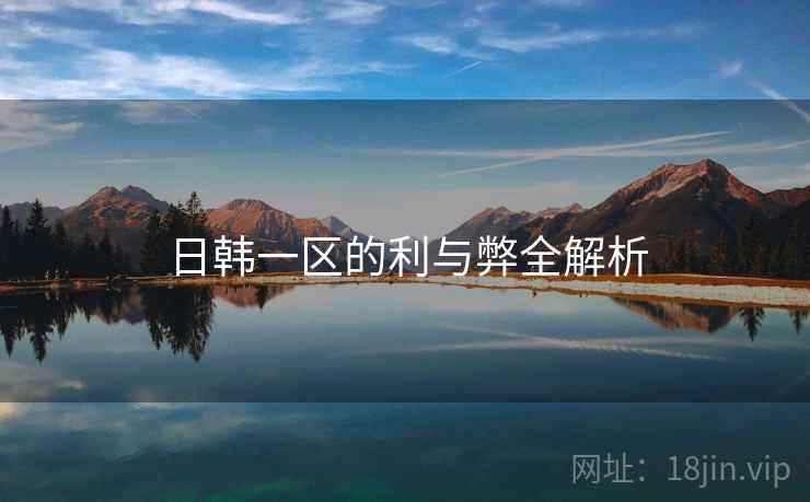 日韩一区的利与弊全解析