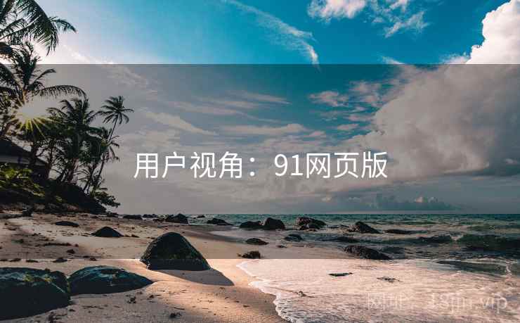 用户视角:91网页版 用户视角:91网页版