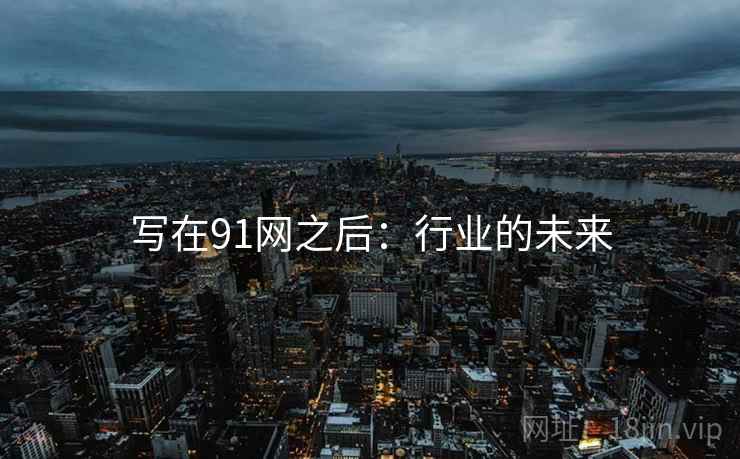 写在91网之后:行业的未来 写在91网之后:行业的未来
