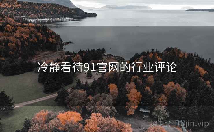 冷静看待91官网的行业评论 冷静看待91官网的行业评论