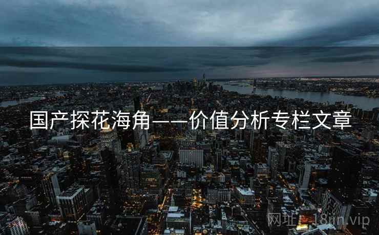 国产探花海角——价值分析专栏文章 国产探花海角——价值分析专栏文章