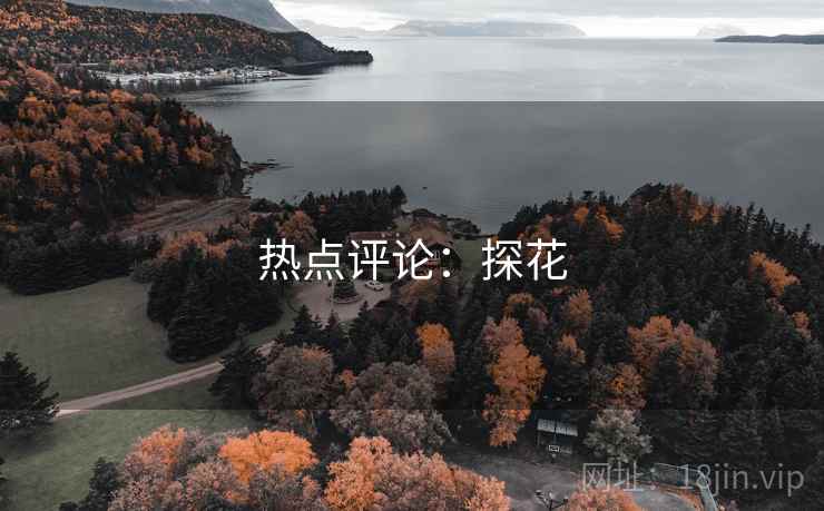 热点评论:探花 热点评论:探花
